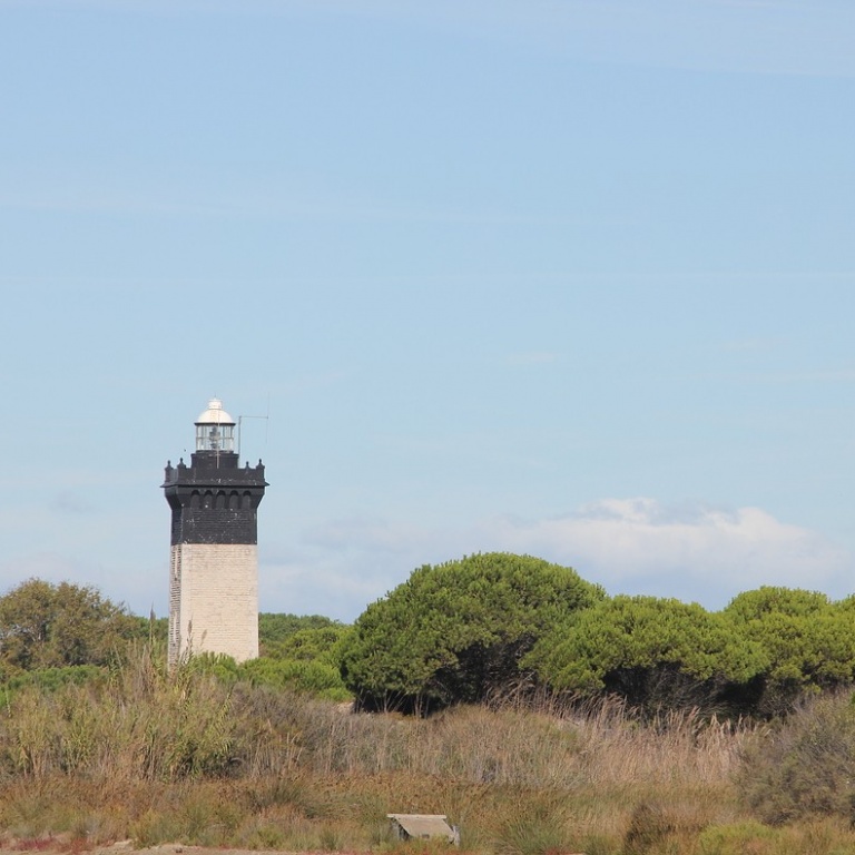 La photo du Phare de l'Espiguette