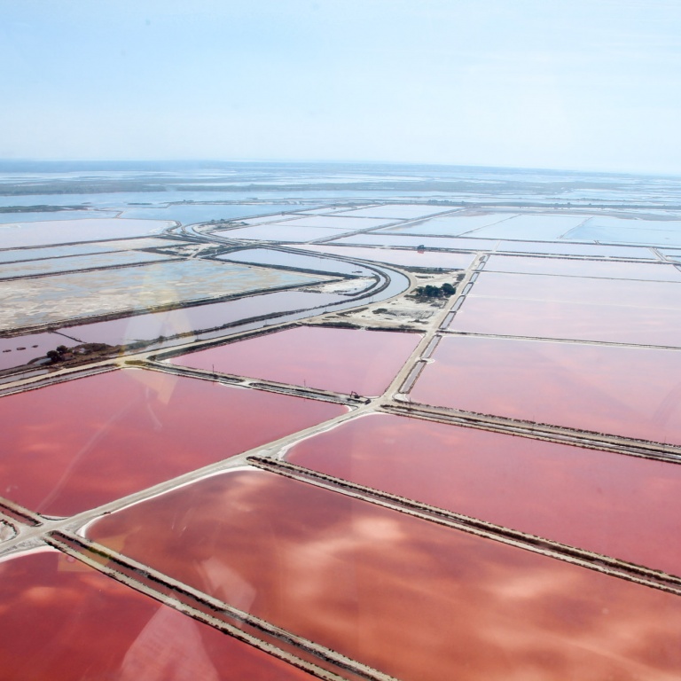 Un univers de marais salants