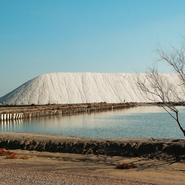 Salin à Aîgues Mortes