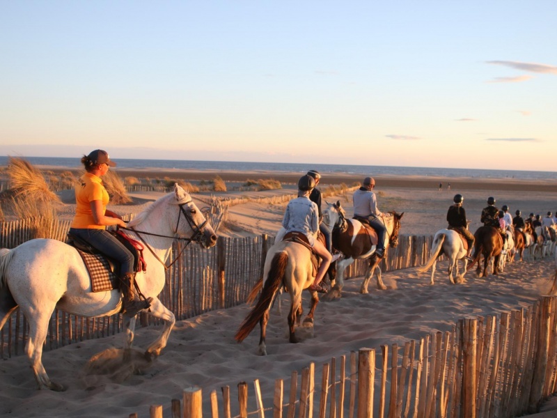 Balade à cheval en Camargue avec Abrivado Ranch