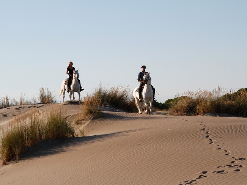 le farniente des plages du Sud