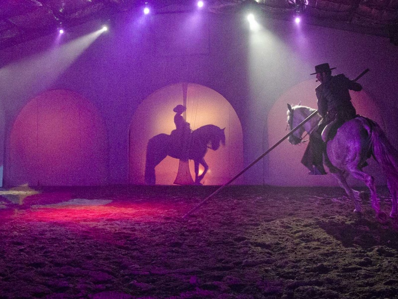 Cabarets Equestres de Camargue - extrait d'un spectacle