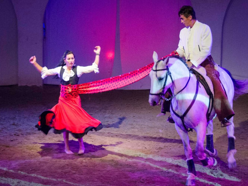 Cabarets Equestres de Camargue - extrait d'un spectacle