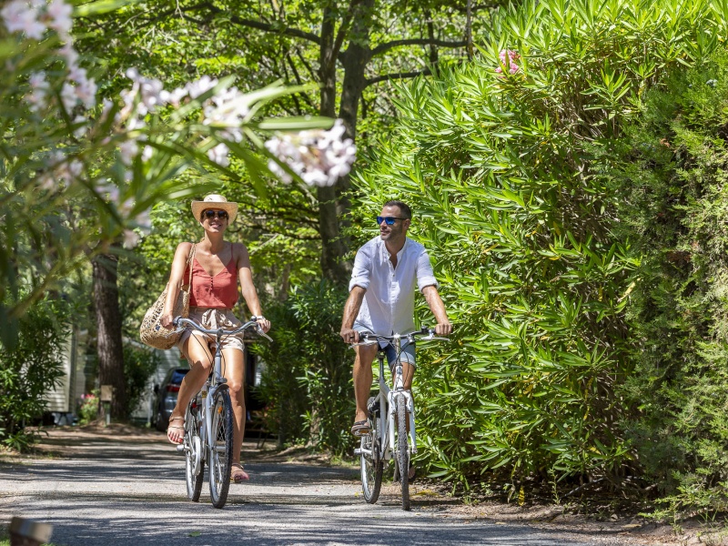 Le camping Abri de Camargue profite d'une végétation très dense, offrant de la fraîcheur même en été