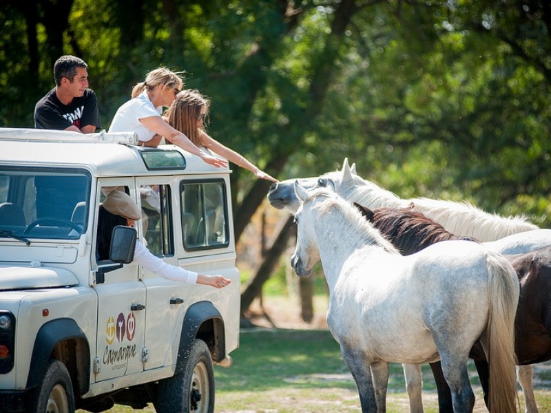 Des safaris à couper le souffle