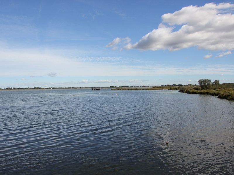 La Camargue des grands espaces