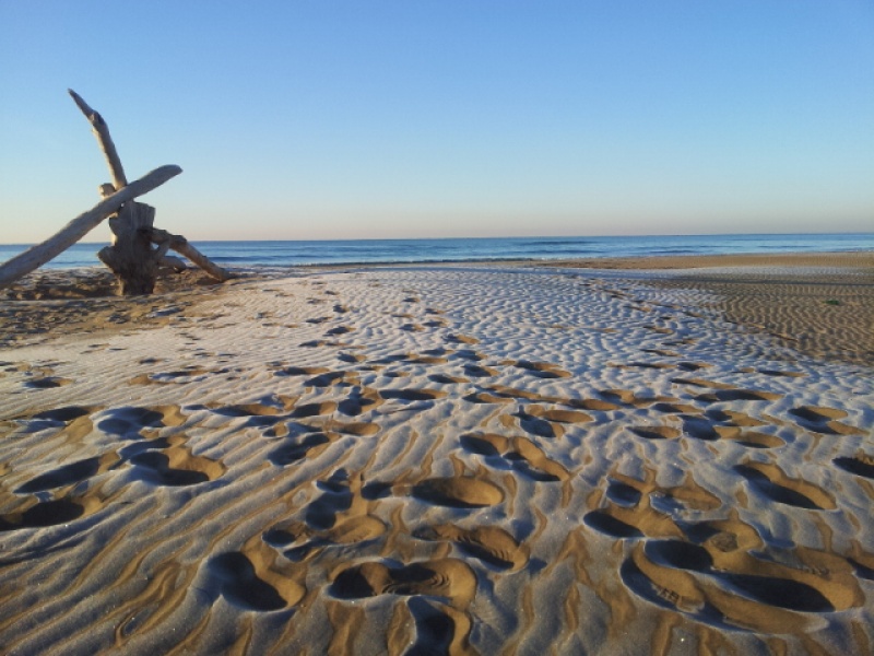 Des plages paradisiaques