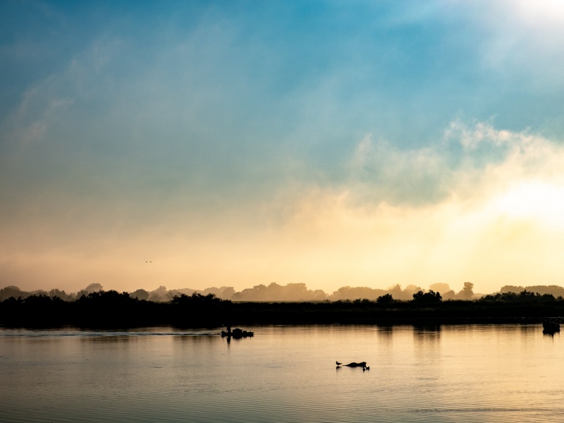 Vue de Camargue, Soft Camargue Wake-up Nathalie