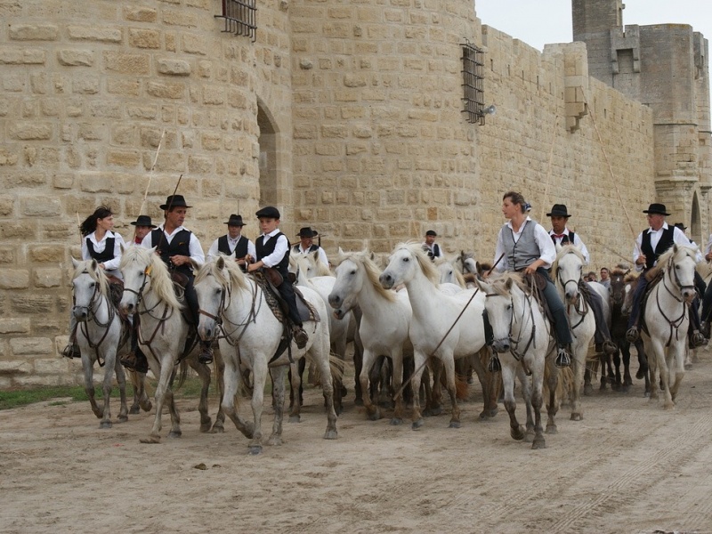 Les traditions de la Camargue