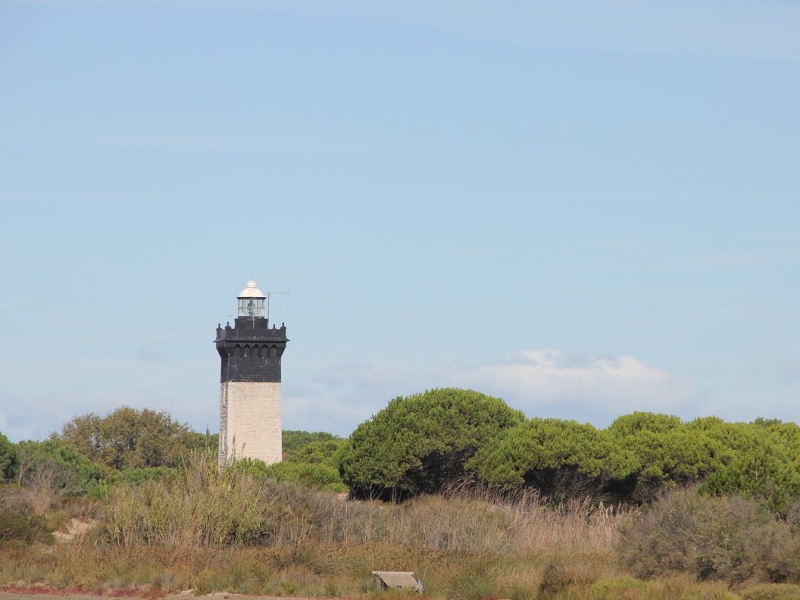 La photo du Phare de l'Espiguette