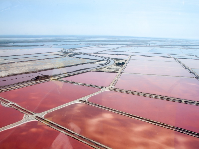 Un univers de marais salants