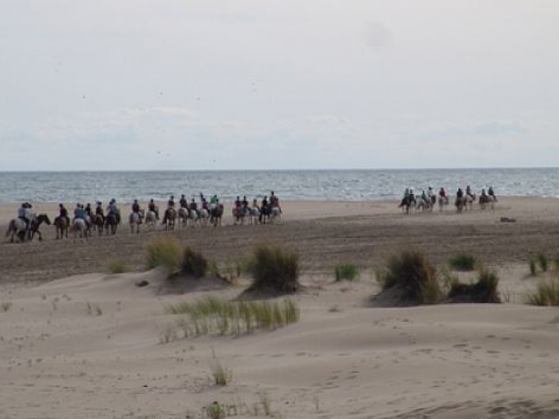 Sur la plage de l'Espiguette