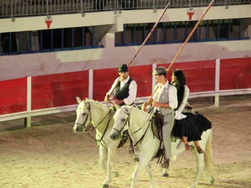 Spectacle équestre aux arènes