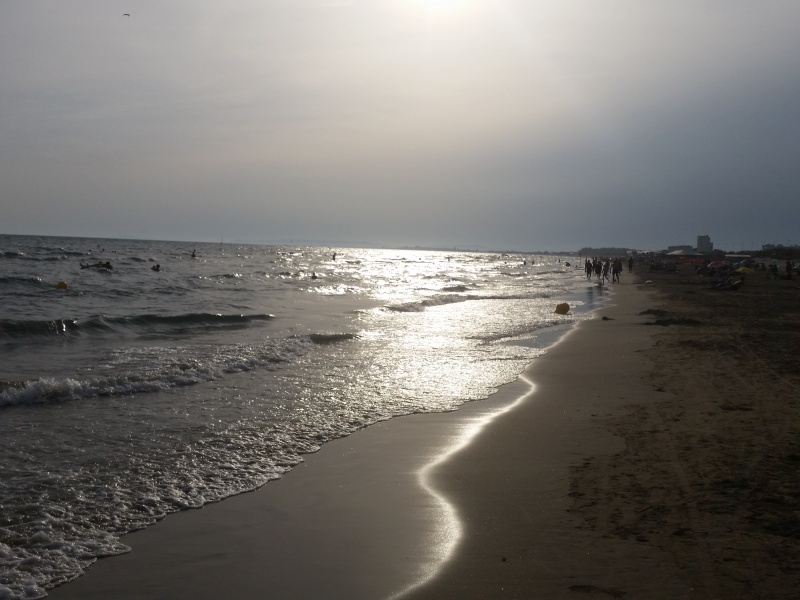 Plage du Grand Travers, à quelques minutes du Camping Abri de Camargue