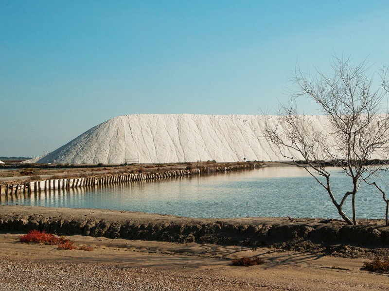 Salin à Aîgues Mortes