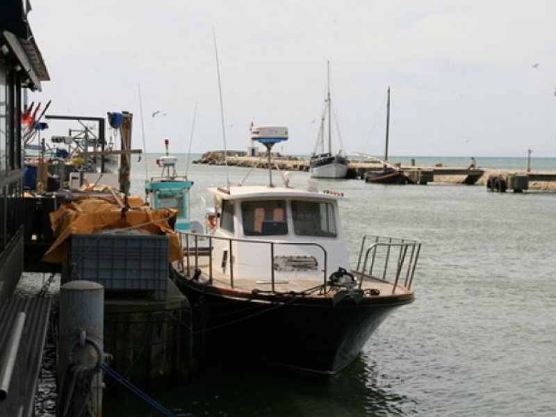 La pêche en pleine mer