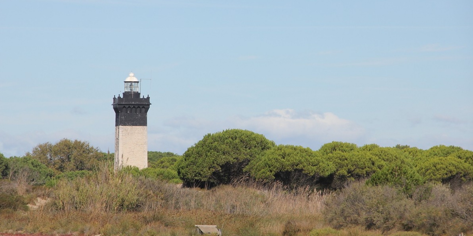 La photo du Phare de l'Espiguette