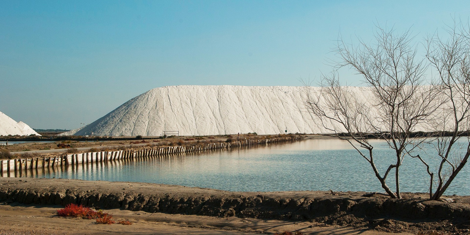 Salin à Aîgues Mortes